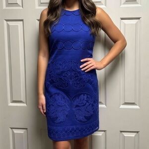 Max Studio Sleeveless Knee Length Cotton Blend Dress in Royal Blue